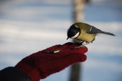 Прикрепленное изображение: p3.jpg